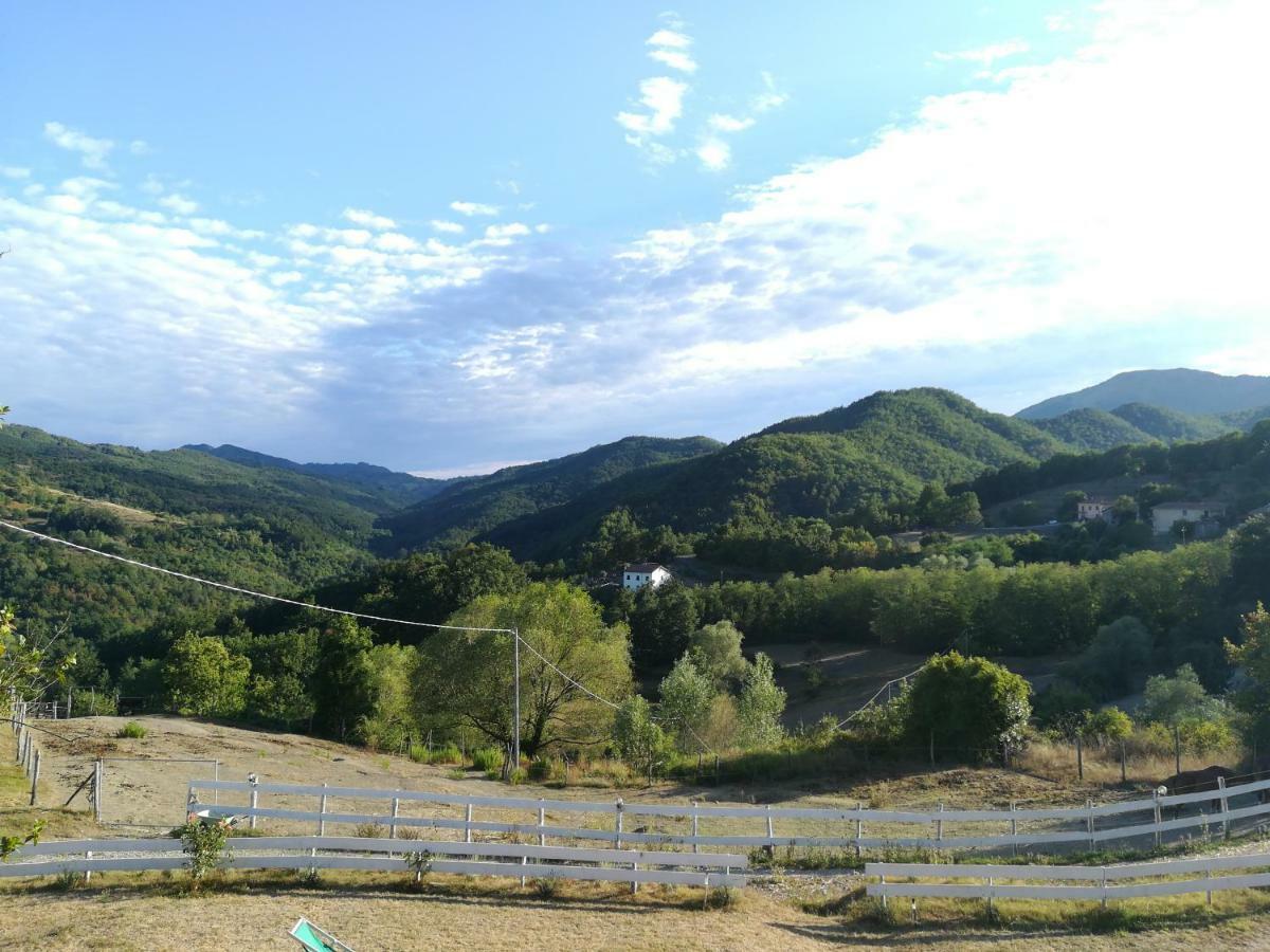 Agriturismo Dei Legi Villa San Pietro Vara Exterior foto