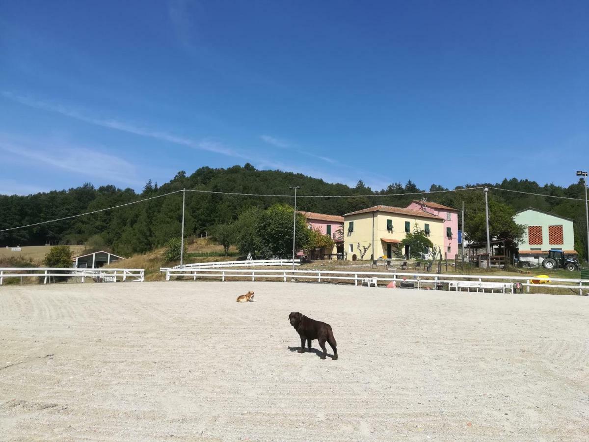 Agriturismo Dei Legi Villa San Pietro Vara Exterior foto